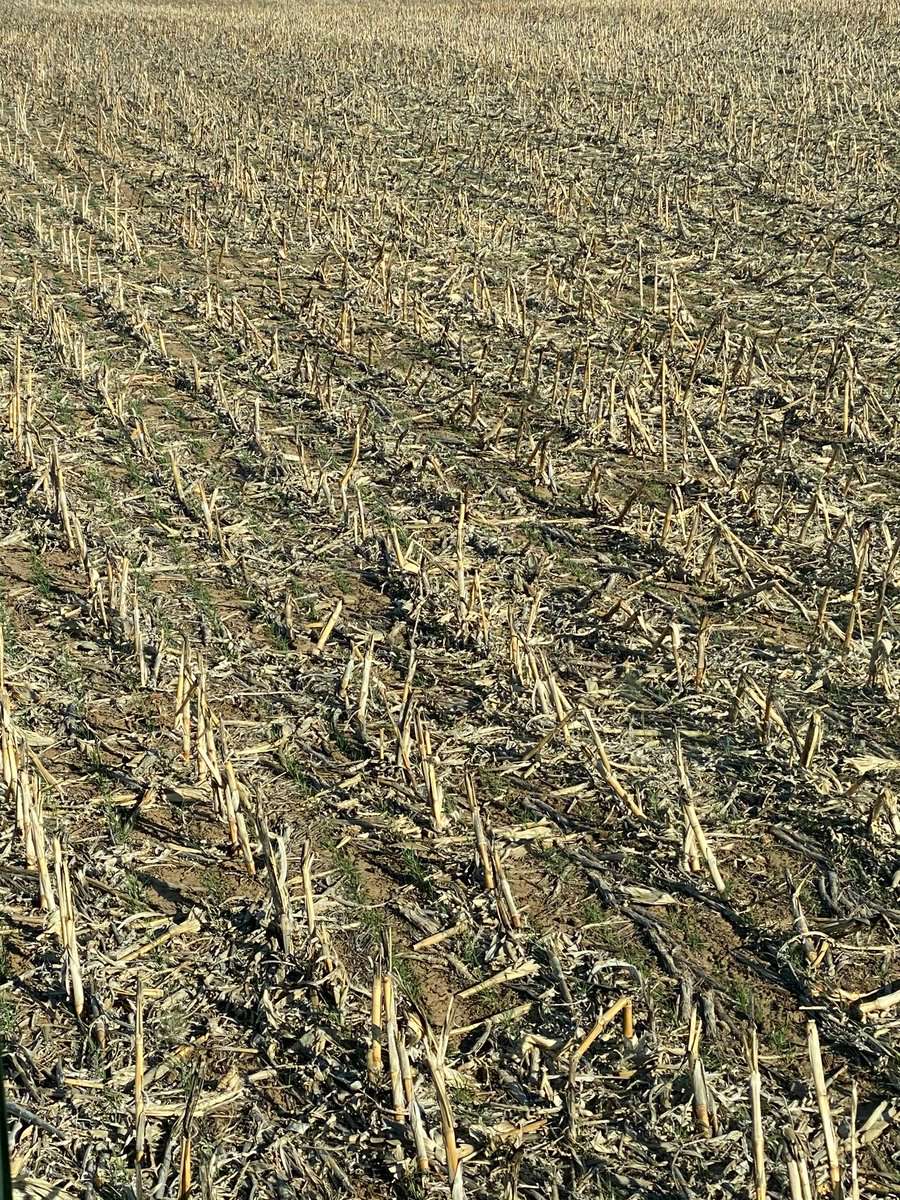 <b>written by: Stacy Campbell - Cottonwood Extension District</b>