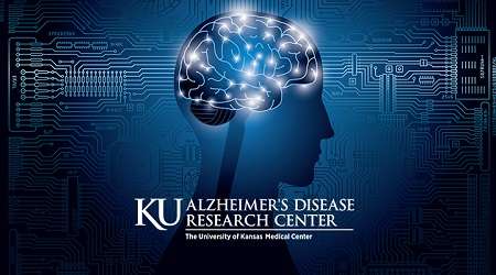 The KU ADRC, formerly known as the KU Alzheimer’s Disease Center,&nbsp; is working to translate research advances into improved diagnoses and care for people with Alzheimer’s disease and related dementias, as well as to find ways to treat and possibly prevent these diseases.