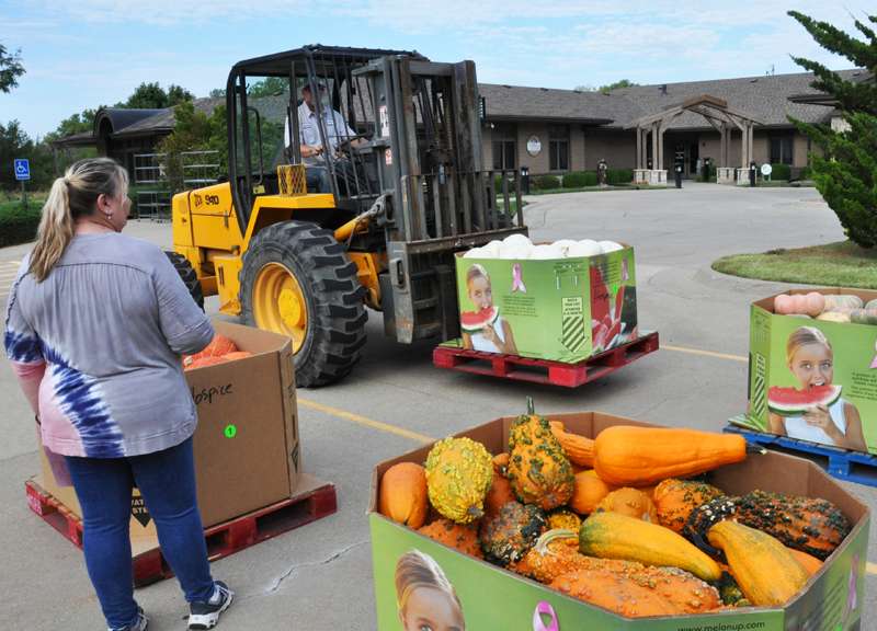 <b> A wide variety of pumpkins and fall mums have arrived for Hospice of Salina's annual Pumpkins for Patients fundraiser on Saturday.</b> Photo courtesy Salina Regional Health Center