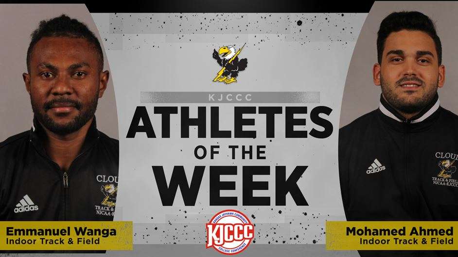 Image courtesy <a href="http://cloudtbirds.com">cloudtbirds.com</a>