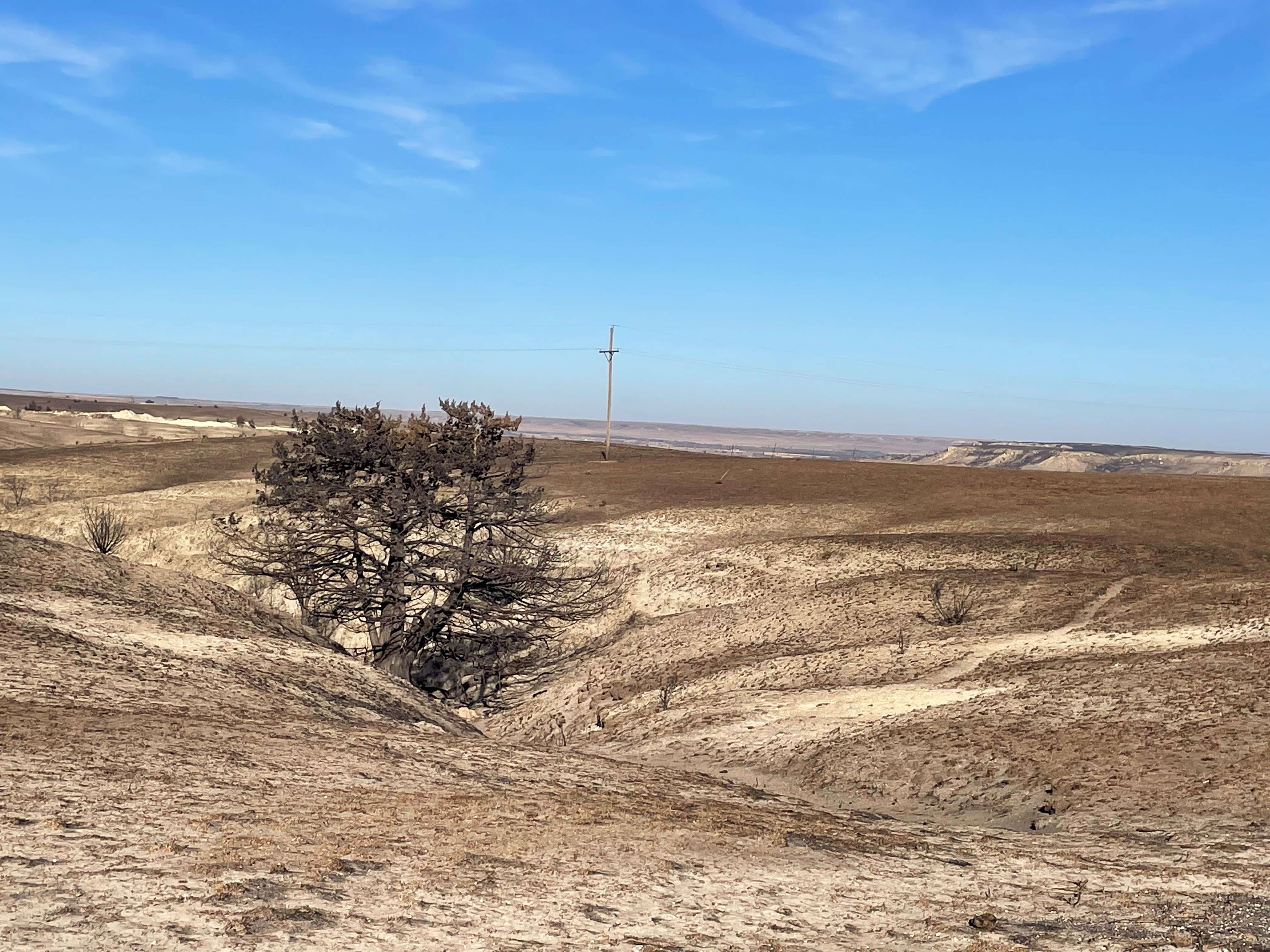 <b>written by: Stacy Campbell - Cottonwood Extension District</b>