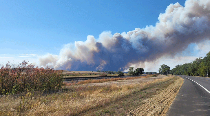The Bovee Fire started Sunday in Halsey National Forest. (Photo: National Forest Service)