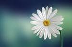 Deborah Rae Sass (Ladwig) 1951 - 2022