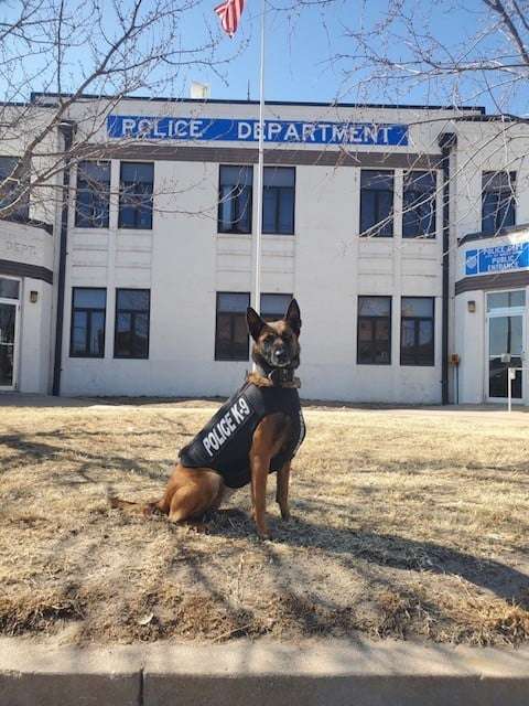Great Bend Police Department's K-9 Menta pictured. A second K-9, Nico, will begin training in December for the department.