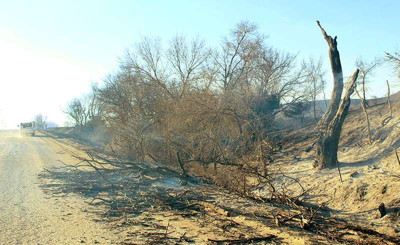 Trees were still smoldering in northeast Ellis County on Dec. 16, 2021. Fire crews continued to fight the blaze for a total of three days. Cristina Janney/Hays Post