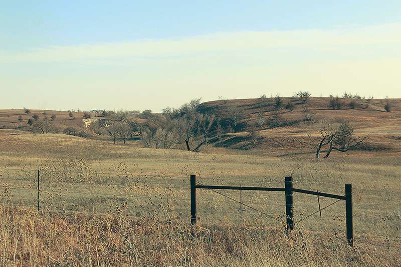 The Four County fire burned 2,000 acres of Dennis Johnson's land. Miles of fence were destroyed and had to be replaced. Photo by Cristina Janney/Hays Post<br>