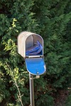 Mail carrier sentenced for dumping — instead of delivering — mail