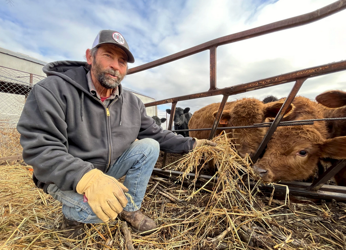 Rancher Rich Koester feeds some of his calves that were born just after the wildfire a year ago. Many of the calves needed a surrogate's milk to survive because the fire injured their mothers. David Condos / Kansas News Service