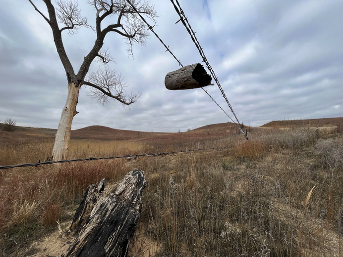 One year after the fire that devastated this part of Russell County, remnants of the damage remain. Here, a half-burnt wooden fence post dangles from barbed wire next to a charred tree stump. David Condos / Kansas News Service