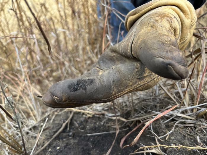 Koester holds up some of the black ash that still remains on part of his pasture one year after the wildfire. David Condos / Kansas News Service