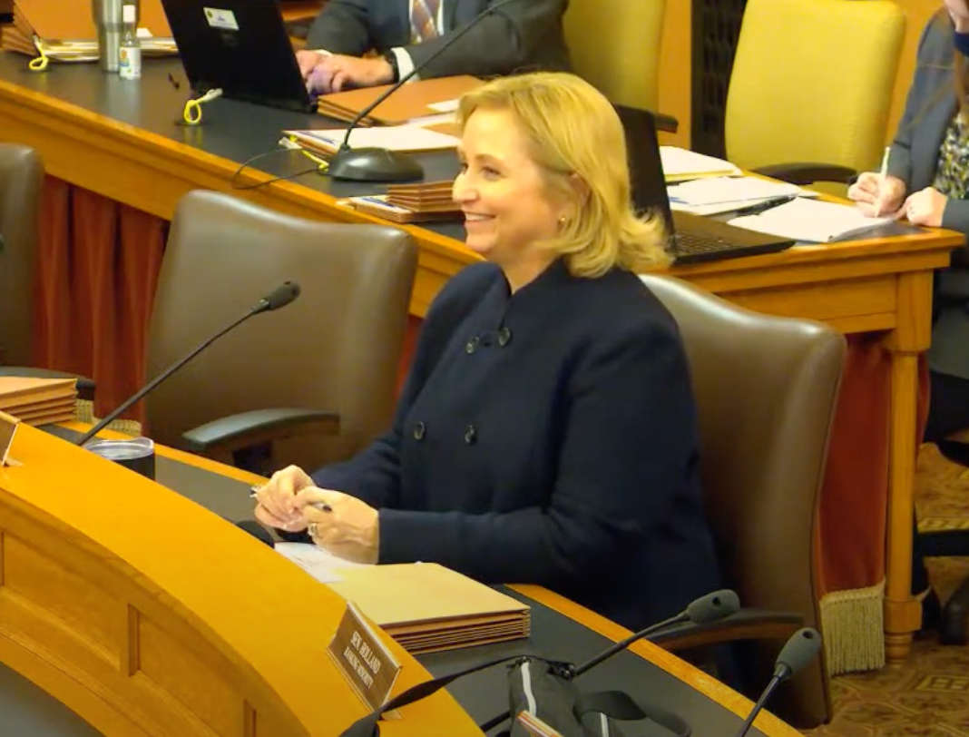Kansas state Sen. Caryn Tyson, R-Parker, during a Monday Senate Assessment and Tax Committee meeting.
