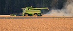 ‘Modern’ $375M soybean crushing plant planned in Nebraska
