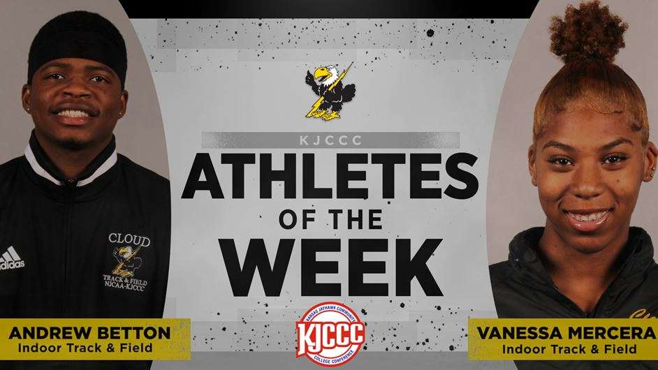 Image courtesy <a href="http://cloudtbirds.com">cloudtbirds.com</a>