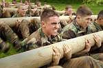 Sexual assault reports increase at US military academies