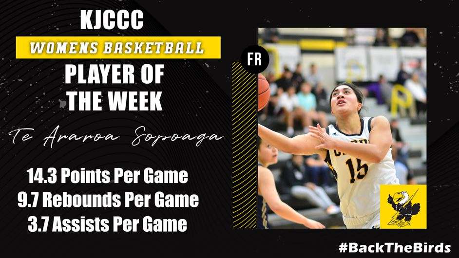 Image courtesy <a href="http://cloudtbirds.com">cloudtbirds.com</a>