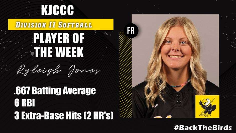 Image courtesy <a href="http://cloudtbirds.com">cloudtbirds.com</a>