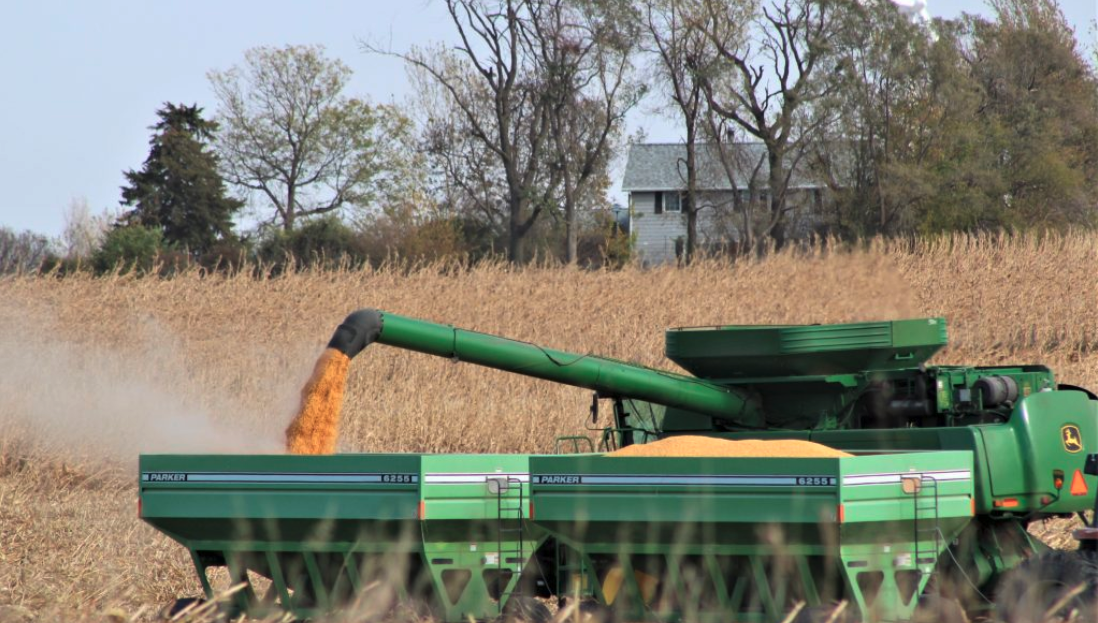 A farmer harvests corn near Slater, Iowa on Oct. 17, 2020. (Photo by Perry Beeman/Iowa Capital Dispatch)