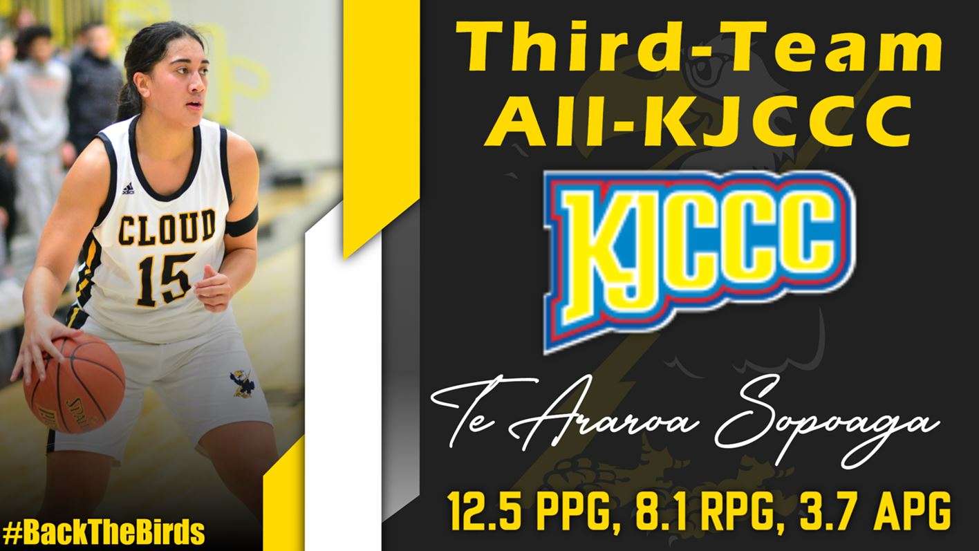 Image courtesy <a href="http://cloudtbirds.com">cloudtbirds.com</a>