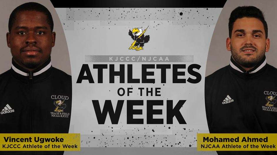 Image courtesy <a href="http://cloudtbirds.com">cloudtbirds.com</a>