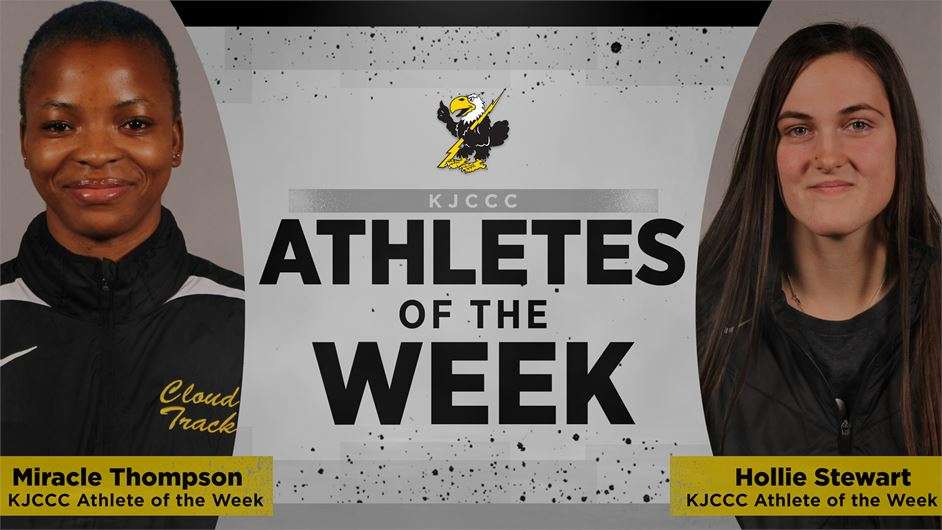 Image courtesy <a href="http://cloudtbirds.com">cloudtbirds.com</a>