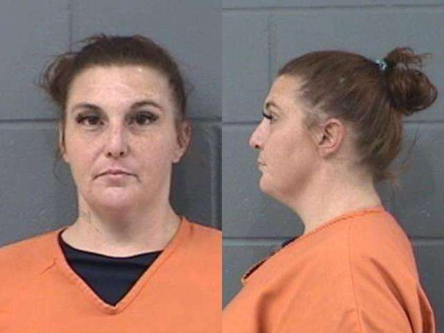Stephanie Meier Theft-all other, Criminal trespass, Arrested 5/3