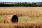 Ellis County to consider funding of conservative property rights group
