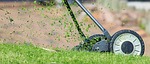 City says tall grass not code violation in most places yet