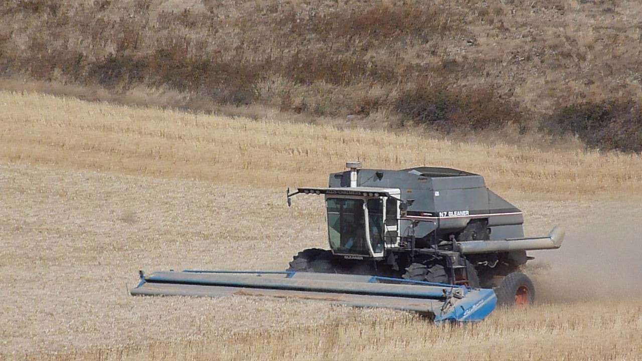 <b>written by: Stacy Campbell - Cottonwood Extension District</b>