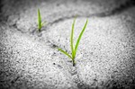 SAFE Sidewalk program recipients on Housing Commission agenda