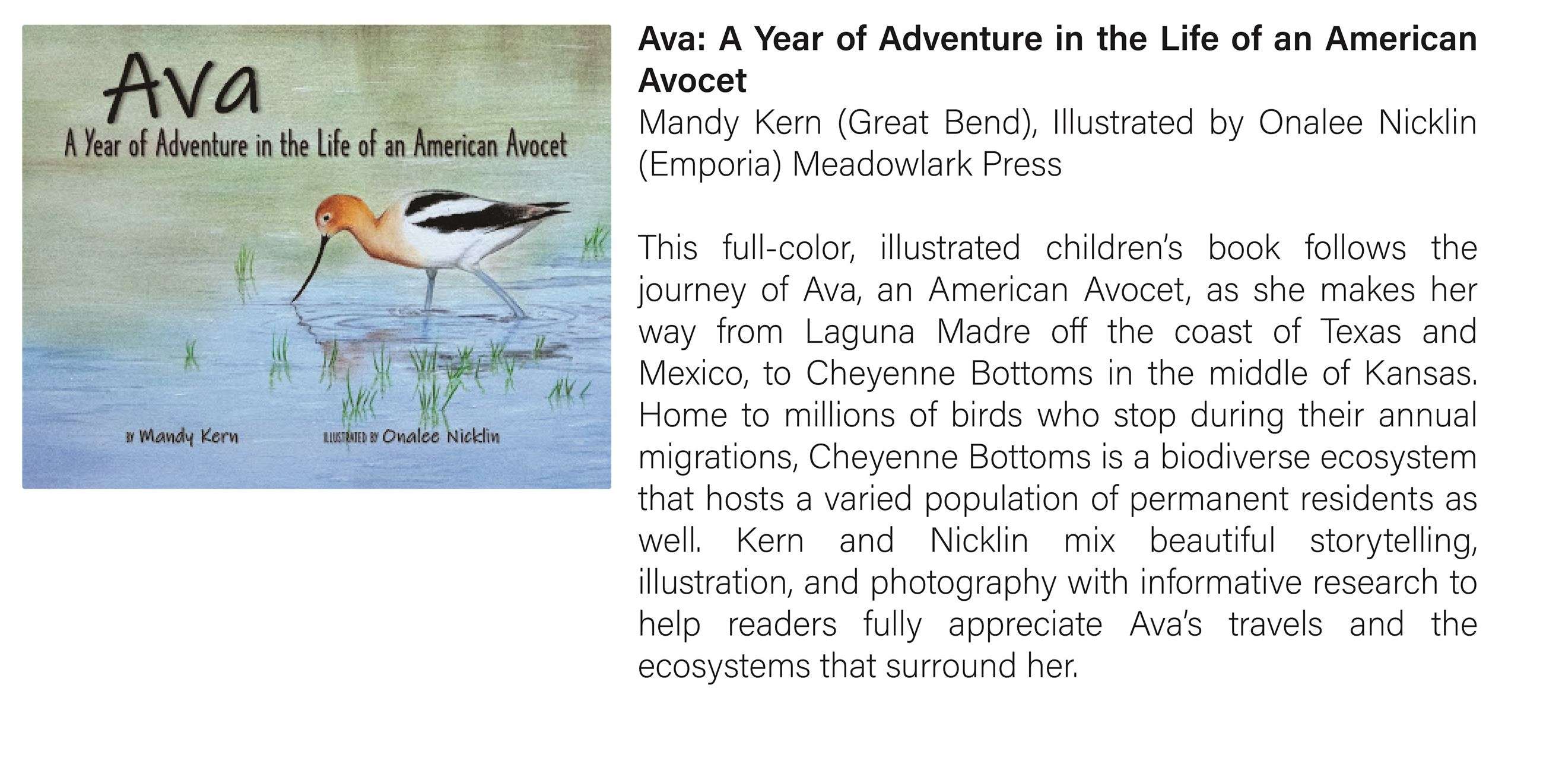 Ava, a 2022 Kansas Notable Book, takes readers on a journey through the wetlands of Cheyenne Bottoms. (Courtesy photo)