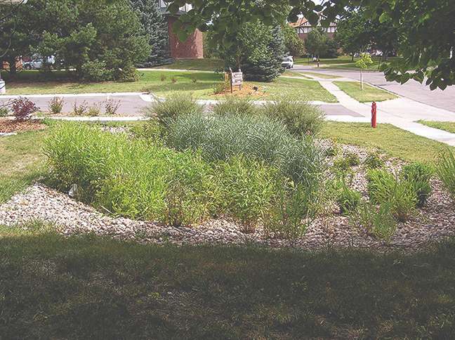 Rain gardens capture runoff from hard surfaces like parking areas and driveways. The runoff filters into the surrounding soils, reducing the need for watering.