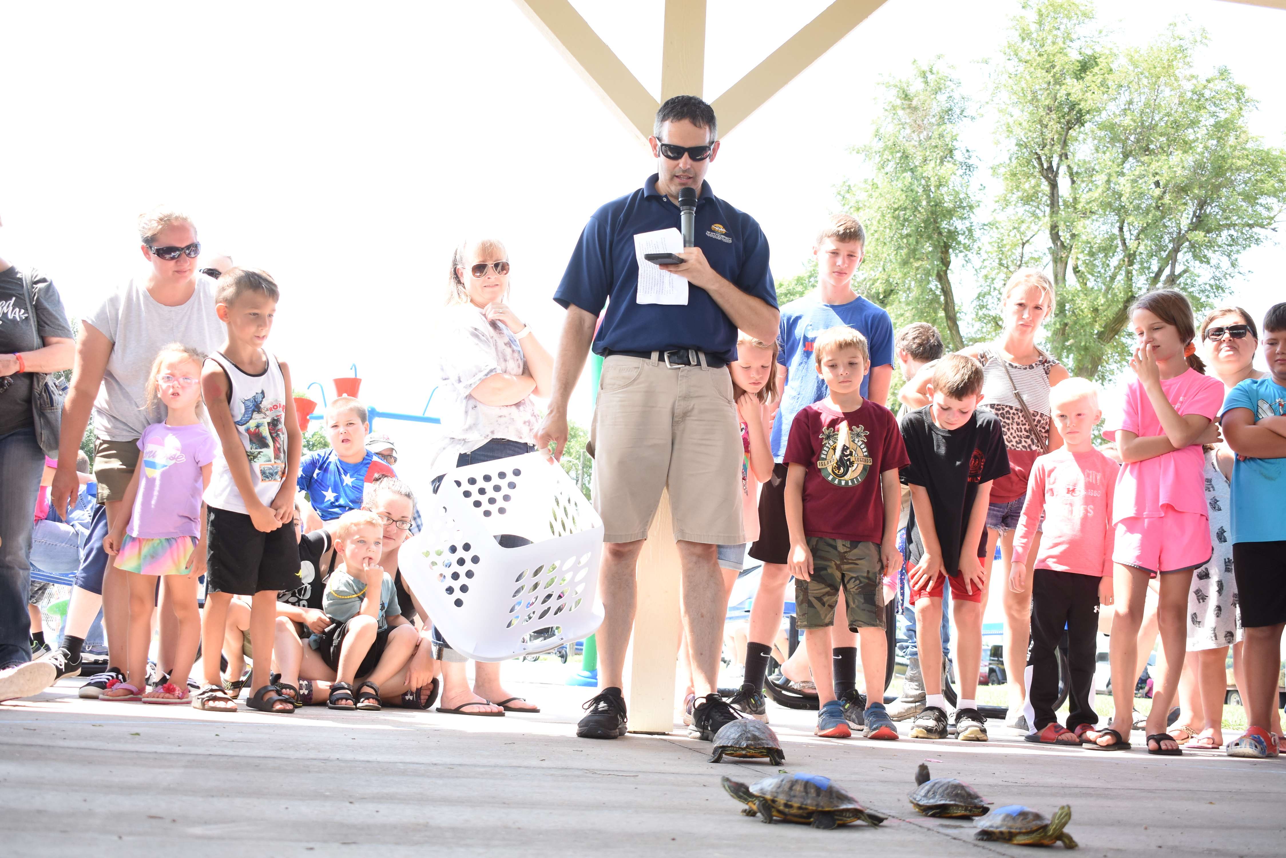 Turtle races will be replaced by minnow races at this year's After Harvest Festival.