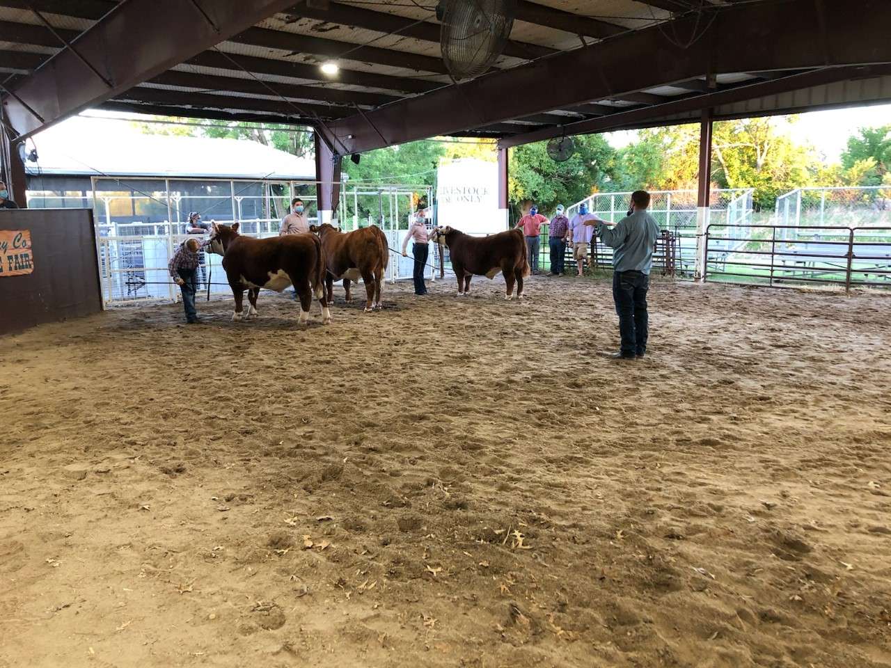 Lineup of 4H shows is set for the Geary County Free Fair