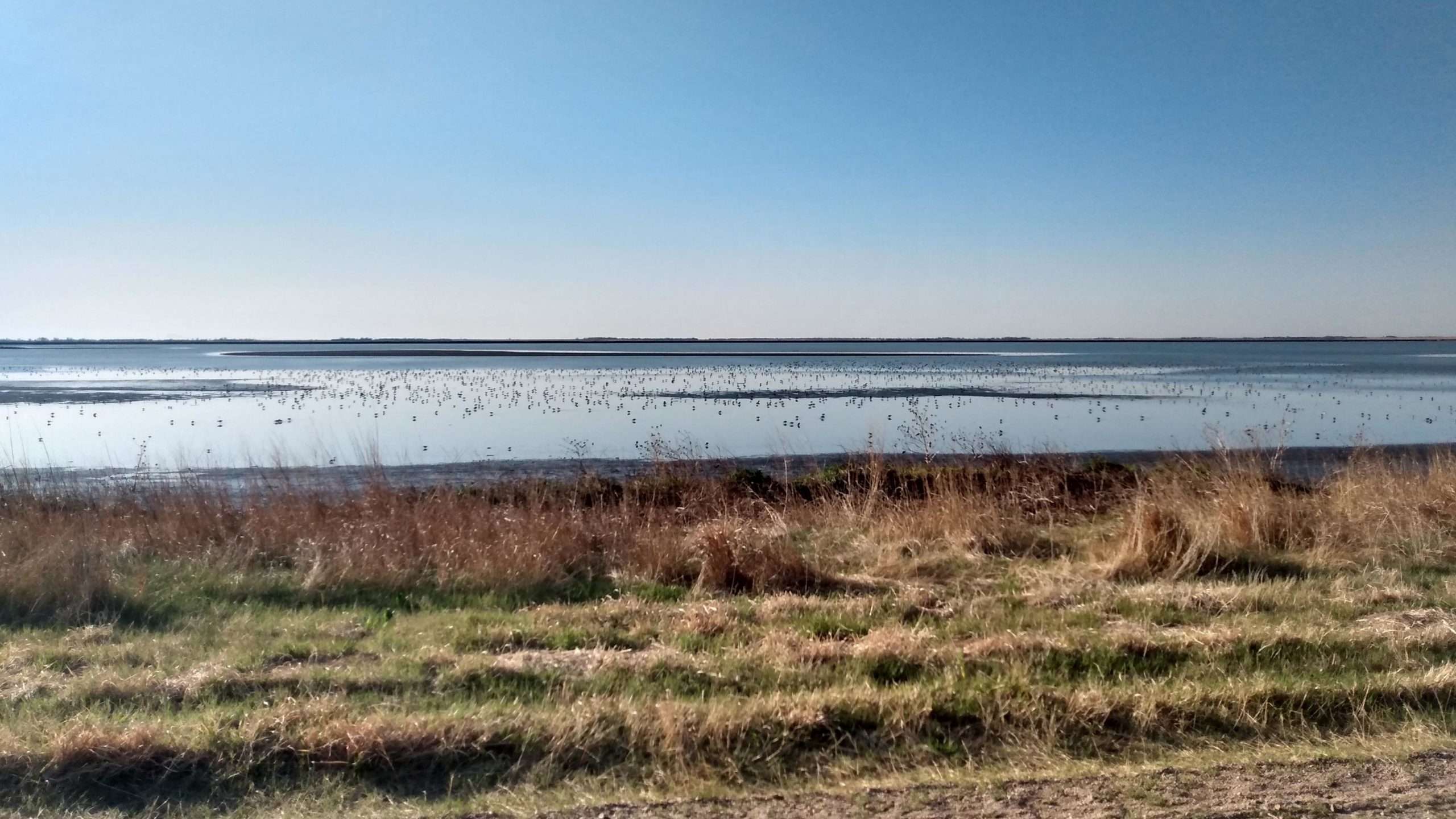 Cheyenne Bottoms April 2022, Courtesy Robert Penner