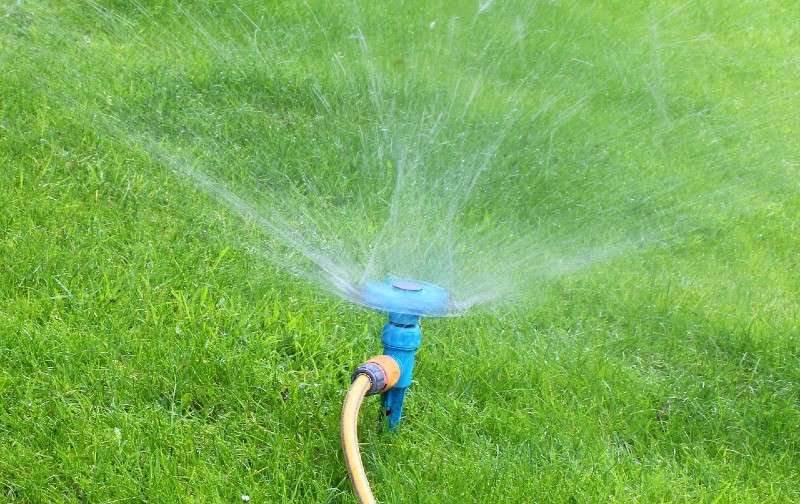 <b>Homeowners should provide one inch of water per week to most plants, including lawns, KSRE's&nbsp;Dennis Patton says.&nbsp;</b>

Image by&nbsp;<a href="https://pixabay.com/users/bluebudgie-4333174/?utm_source=link-attribution&amp;utm_medium=referral&amp;utm_campaign=image&amp;utm_content=2591363">bluebudgie</a>&nbsp;from&nbsp;<a href="https://pixabay.com/?utm_source=link-attribution&amp;utm_medium=referral&amp;utm_campaign=image&amp;utm_content=2591363">Pixabay</a>