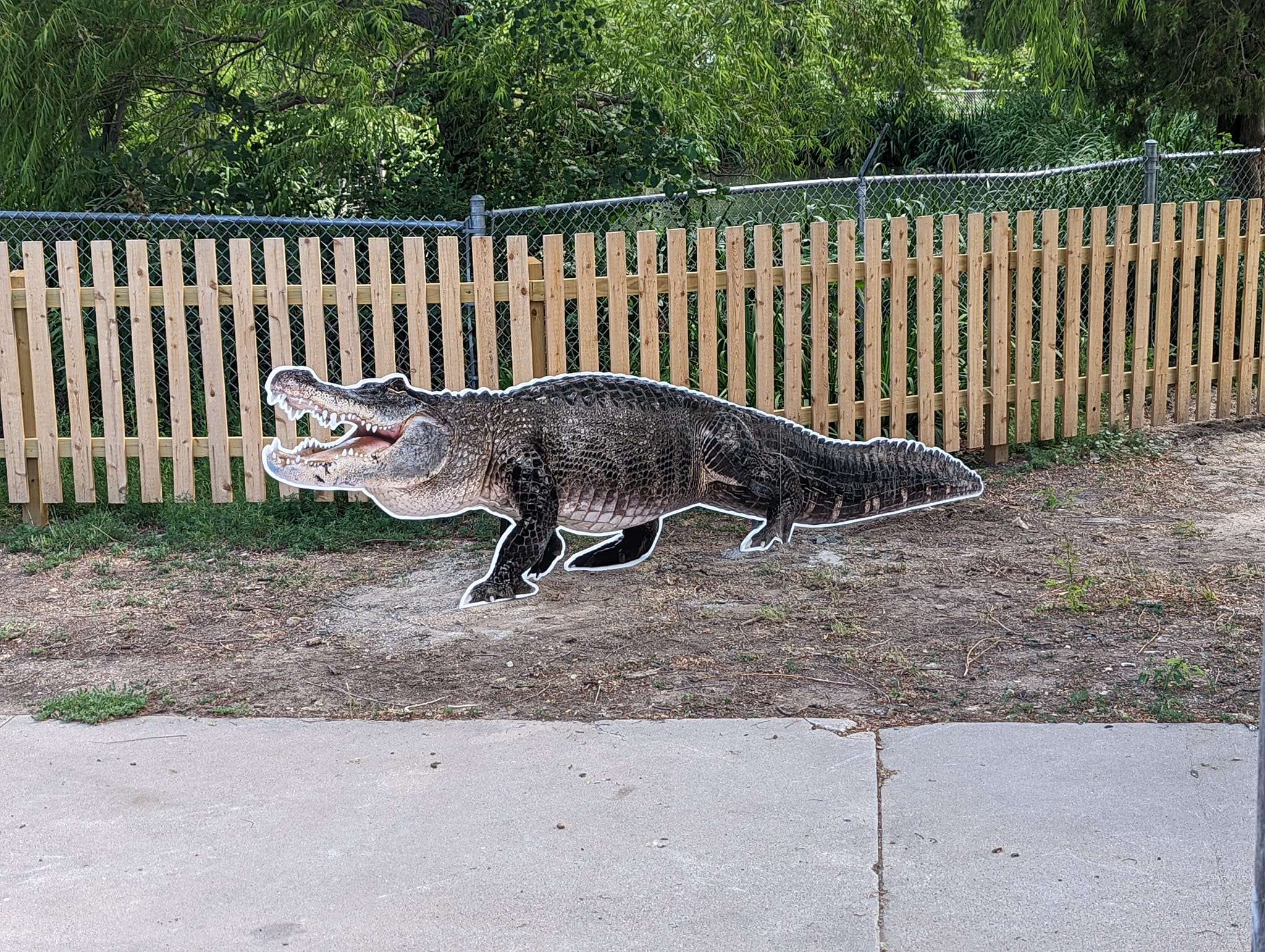 Bringing the Great Bend zoo to you