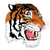 <b>2022 Football Schedule</b>