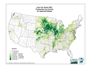 Agricultural experts say corn is being planted more densely across a broader swath of the center of the country. This is where farmers planted the most corn in 2021. (U.S. Department of Agriculture)