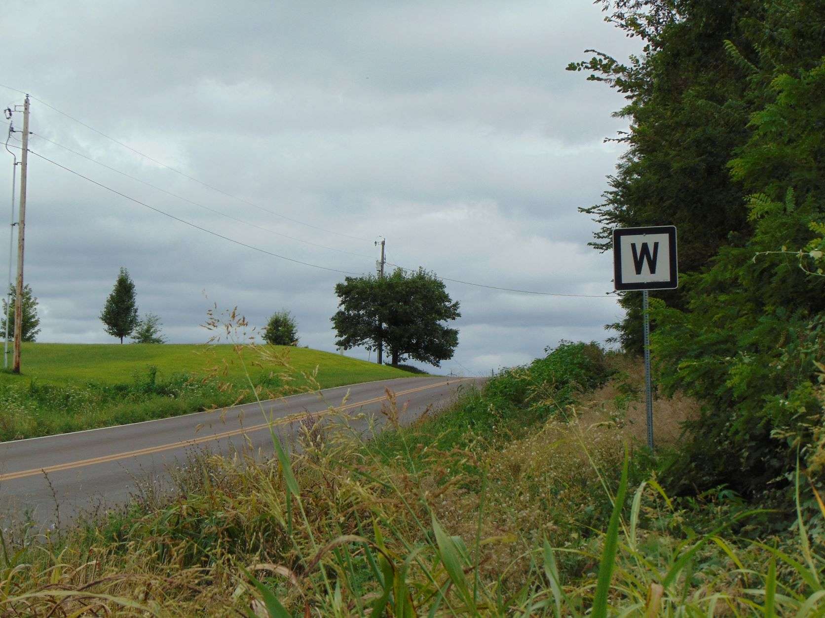 Photo by Brent Martin