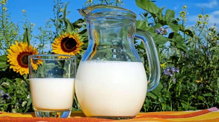 <b>Just like an old car that rusts, the human brain becomes corroded over time by free radicals and other oxidants that are released as the brain converts nutrients into energy. Drinking dairy milk may fight that rust, according to the study.</b> Photo courtesy Pixabay