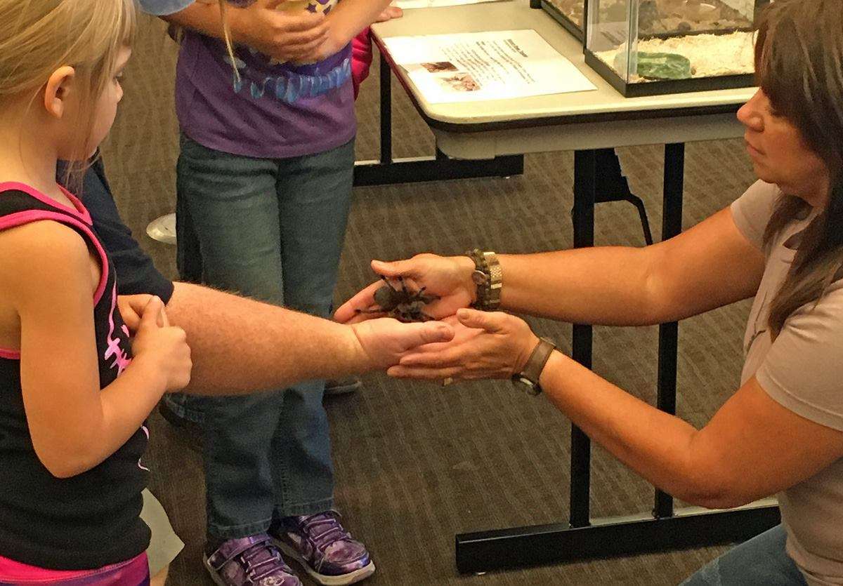 People will get the chance to learn about different bugs and insects, and maybe even hold some, at Insect-O-Rama at the Remington Nature Center on September 10th./Photo courtesy of Sarah Elder