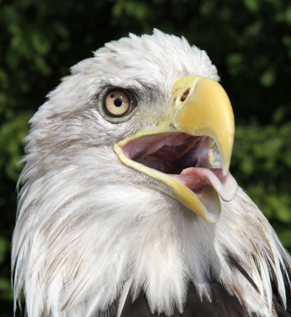 Photo courtesy&nbsp;Prairie Park Nature Center 