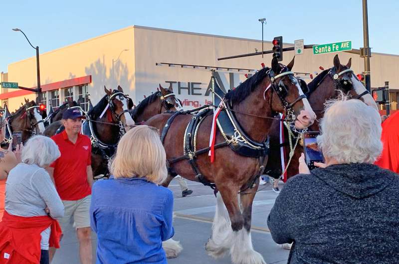<b>Many who waited along Santa Fe Avenue were treated to a closeup look at the Clydesdales. </b>Salina Post photos