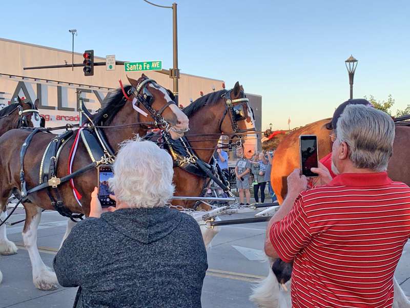 Cellphones were busy as the Clydesdales passed by.