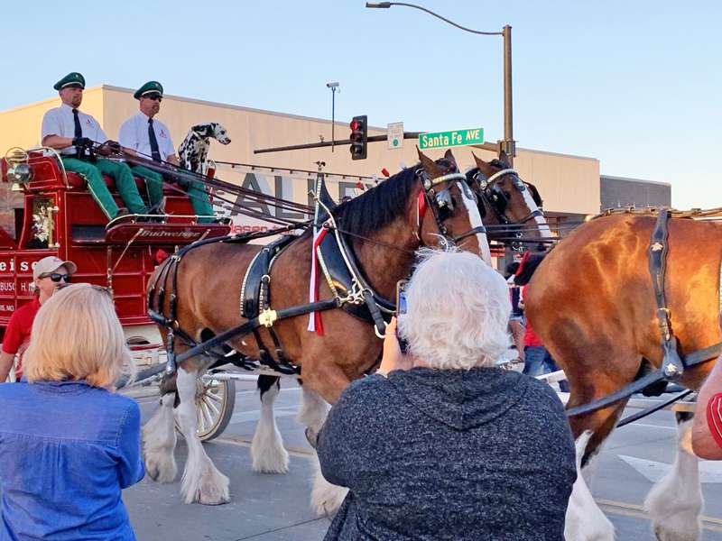 Many who waited along Santa Fe Avenue were treated to a closeup look at the Clydesdales.<b>&nbsp;-</b>Salina Post photos