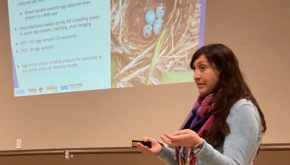 Elizabeth VanWormer of the University of Nebraska-Lincoln explains how testing was done of songbird eggs as part of the AltEn study group (Paul Hammel/Nebraska Examiner)