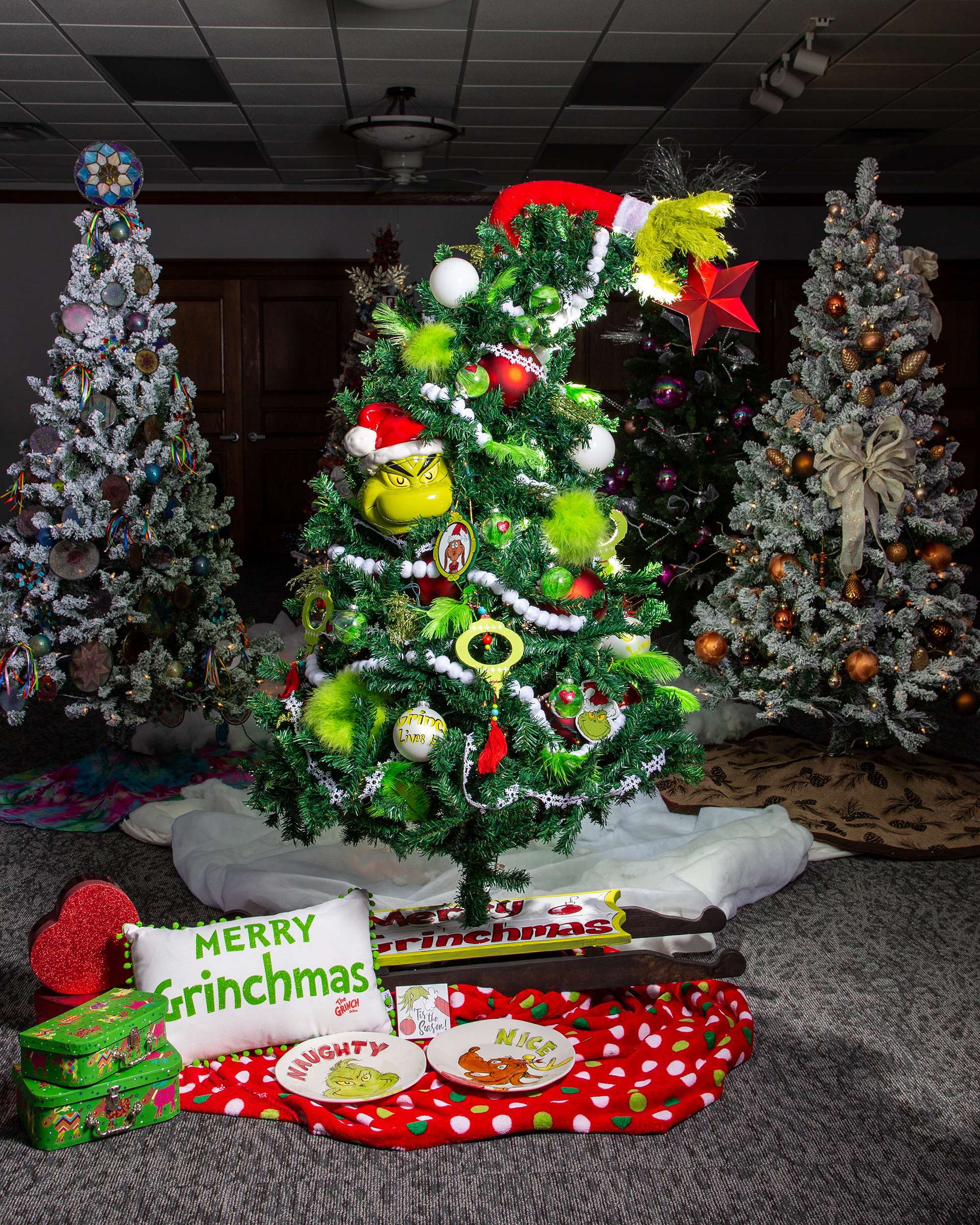 Photo provided by Holly Carlini