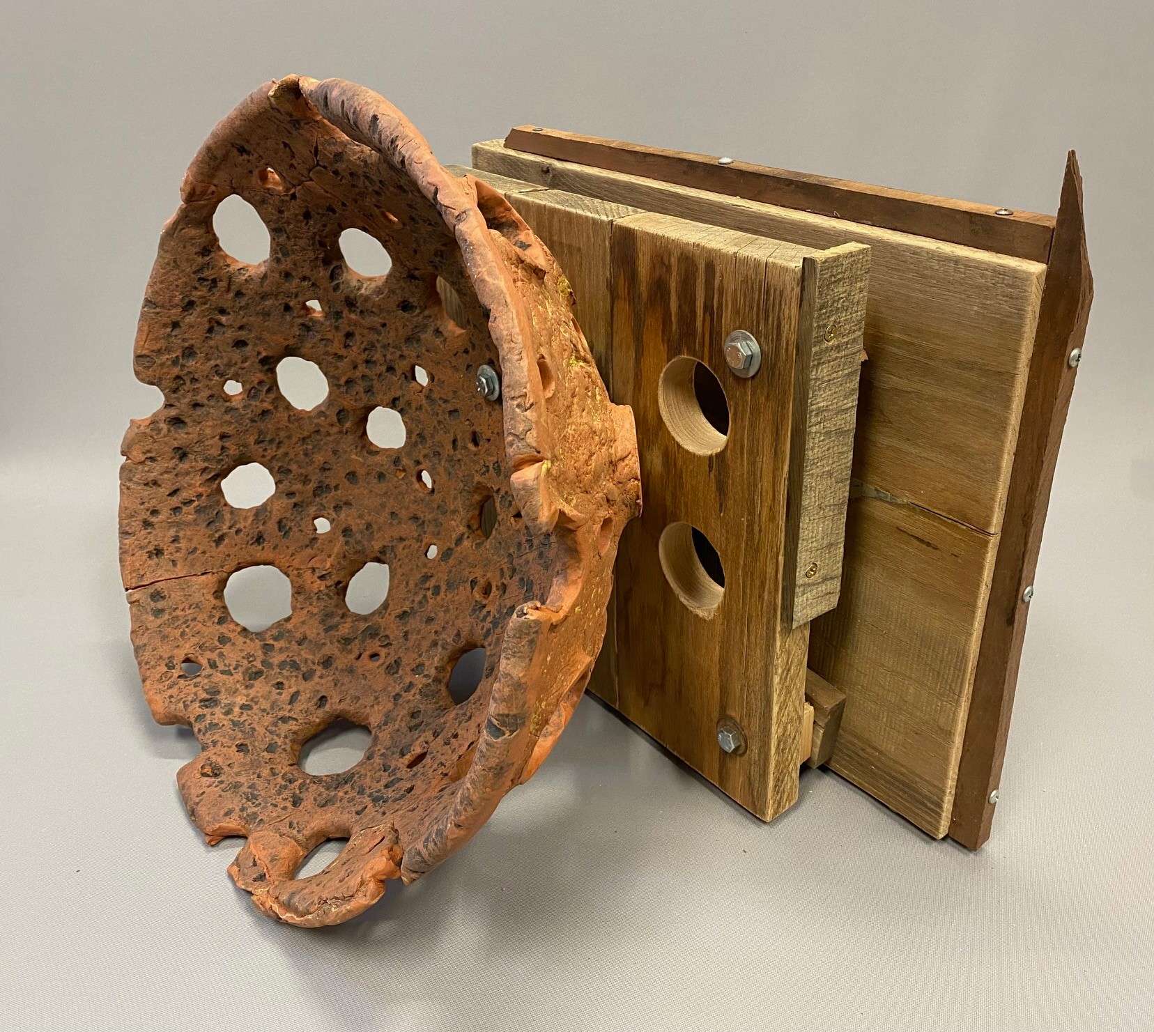 Parabolic Prairie Receiver by Ron Michael