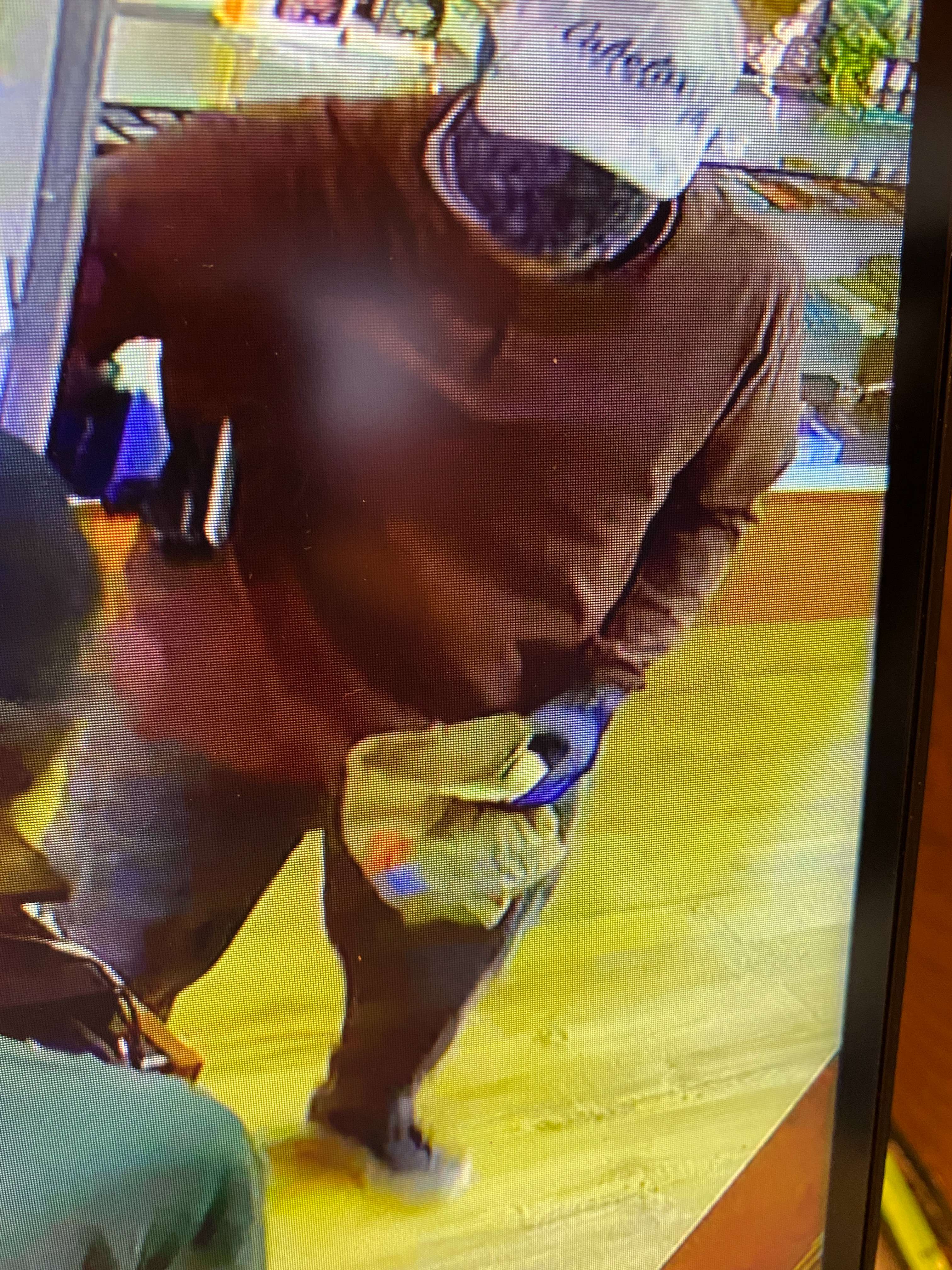 Photo of robbery suspect provided by the Buchanan County Sheriff's Dept.