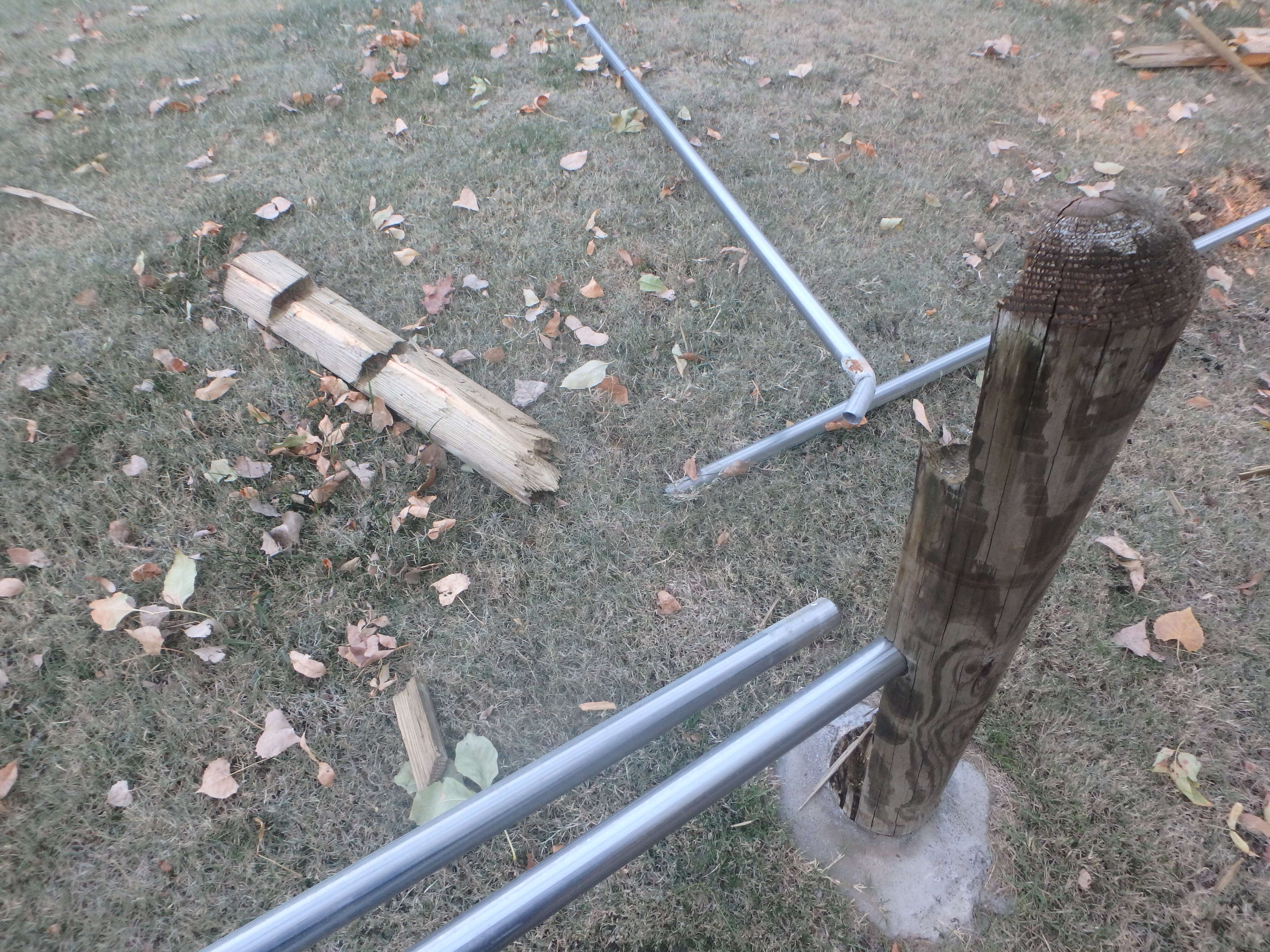 &nbsp;Images Courtesy&nbsp; Saline County Sheriff's Department